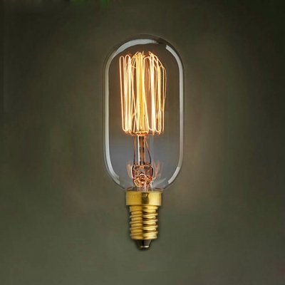 d45mm*h112mm e14 t45 40w 110v/220v vintage bulb incandescent bulb e14 retro edison bulb ac 220v for living room