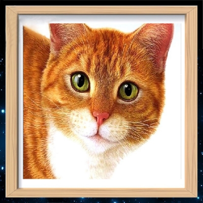 40x40cm new needlework full square drill diamond painting diy cross stitch 3d embroidery mosaic picture cat h-324