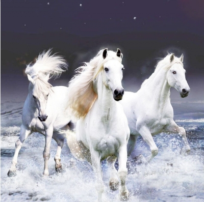 new 5d diy diamond painting cross stitch mosaic square drill full embroidery material for handmade horses
