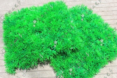 25*25cm artificial lawn, grassplot, synthetic grass, garden ornament