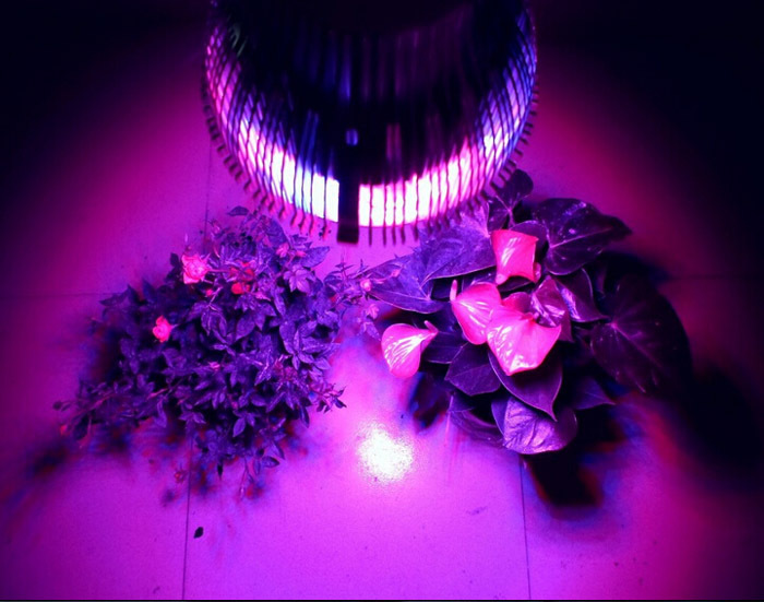 full spectrum led grow light 10w / e27 for flower plants in hydroponic system fast and better plant growth