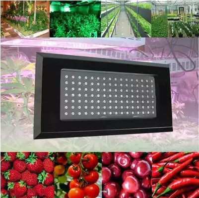 120w full spectrum led grow lights with 120 leds for plants hydroponic flowers grow led indoor plant lamp cultivo