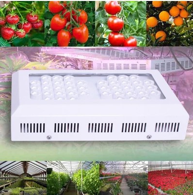 126w 42x3w full spectrum led grow light for plants hydroponics system grow led plant lamp cultivo indoor