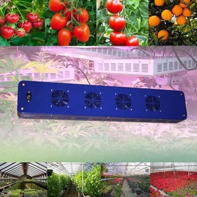 77x3w full spectrum led grow lights lamps for plants hydroponic grow led plant light cultivo indoor - Click Image to Close