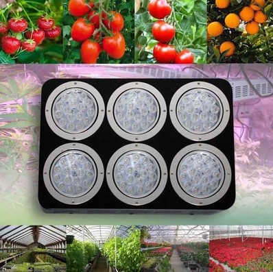 full spectrum apollo led grow lights lamps for plants hydroponics flowers 288w 96x3w grow led plant light cultivo indoor