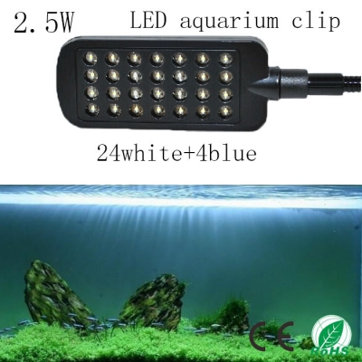 2.5 w blue and white double color led aquarium light, energy saving water cylinder clip lamp,led fish tank light