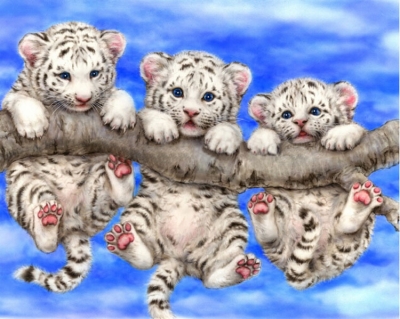 20x30cm animal funny white tigers diy diamond painting kits full rhinestone pasted picture sticker home decoration