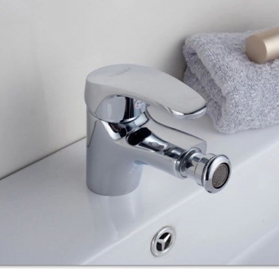 and cold water bathroom basin bidet faucet, bidet shower