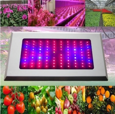 full spectrum 300w led grow light 300w lamps for plants hidroponia flowers led plant acuario indoor [led-grow-light-5258]