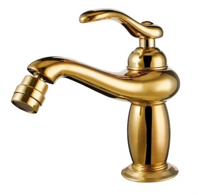 brand new and cold golden brass toilet bidet faucet