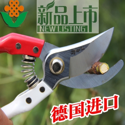 plant scissors, flower scissors [garden-tool-3118]
