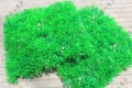 25*25cm artificial lawn, grassplot, synthetic grass, garden ornament