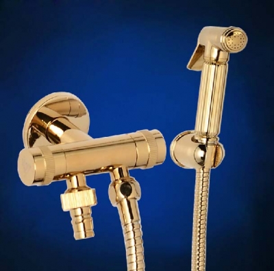single cold brass golden bidet faucet set