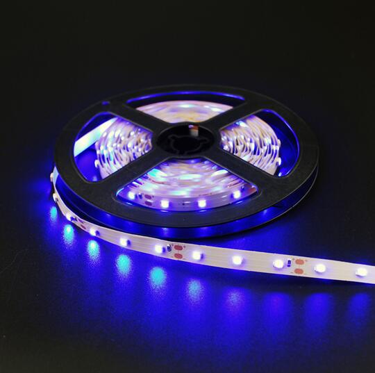 led strip 3528 5m 300leds (60leds/m) single color white / red / blue / green / yellow rope light + 12v 2a 24w power adapter