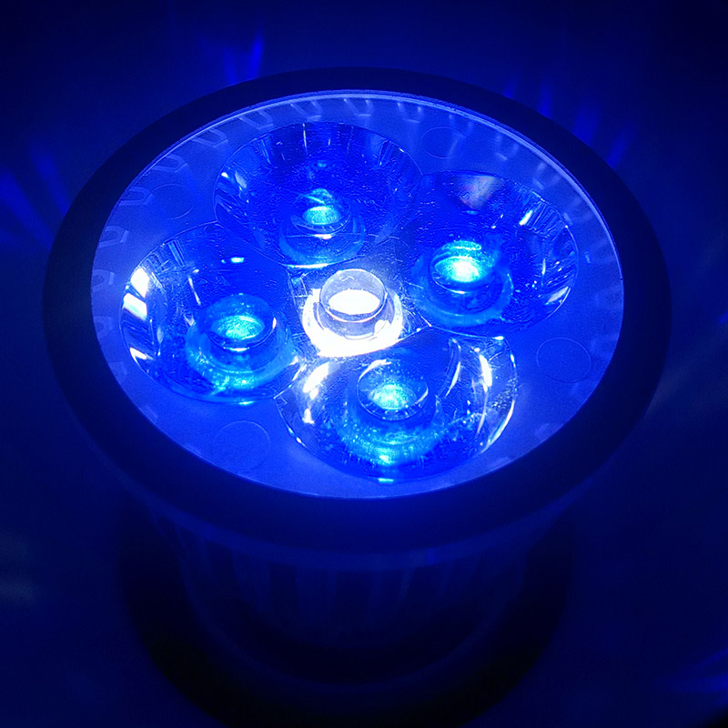 e14 e27 gu10 10w aquarium led grow light, 4 blue & 1 white for fish tank lighting aquatic plants and corals lights