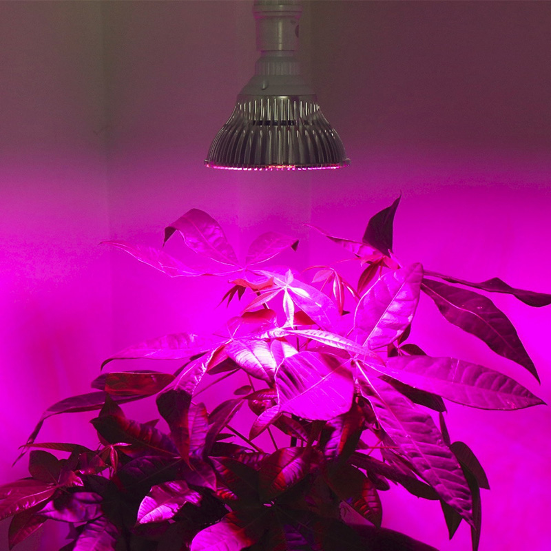 full spectrum e27 led grow light, provide illumination for seedlings, flowers & vegetables in the greenhouse & grow tent