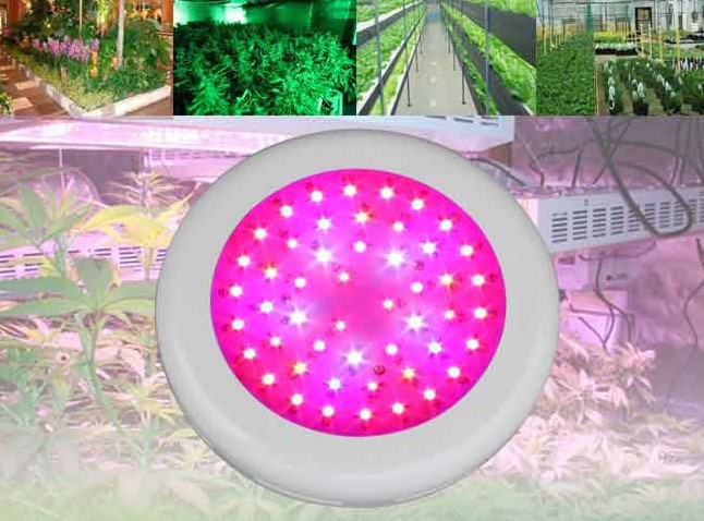 150w 50x3w round full spectrum led grow lights for plants hydroponics system ufo grow led plant light