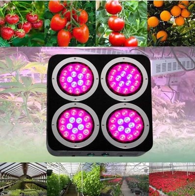 192w 64x3w full spectrum led grow light lamps for plants hydroponics flowers grow led plant light cultivo indoor