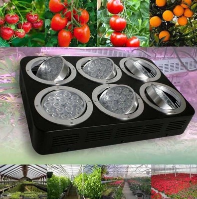 full spectrum apollo led grow lights lamps for plants hydroponics flowers 288w 96x3w grow led plant light cultivo indoor - Click Image to Close