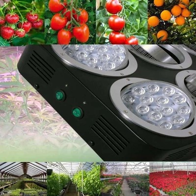 full spectrum apollo led grow lights lamps for plants hydroponics flowers 288w 96x3w grow led plant light cultivo indoor - Click Image to Close